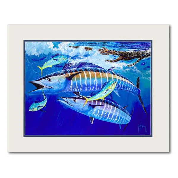 HOOS CHOICE 11X14 MINI UF